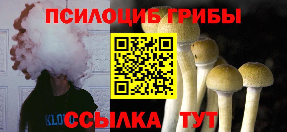 Заводоуковск  Псилоцибиновые грибы Cubensis  Вход с VPN  Галлюциногенные грибы Magic Shrooms 